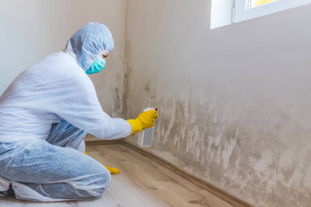 Licensed Bathroom Mold Removal service in Nashville, NC - WQB Mold Removal