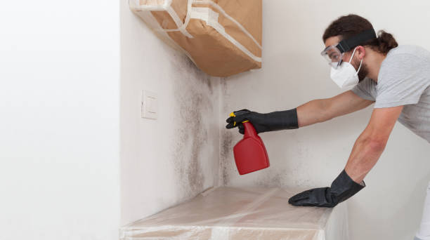 Professional Bathroom Mold Removal technician working in Nashville, NC