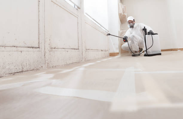 24/7 Emergency Bathroom Mold Removal experts in Nashville, NC