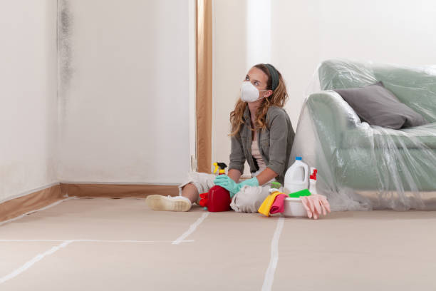 Reliable Bathroom Mold Removal contractor in Nashville, NC by WQB Mold Removal